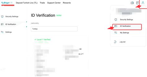 Bitget: What You Need